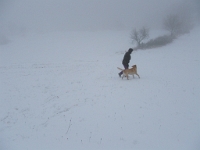 Neige à Greolieres - 6 janvier